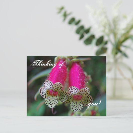 Leopard-Blume Postkarte (Stehend Vorderseite)