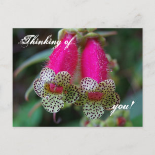 Leopard-Blume Postkarte