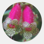 Leopard-Blume Runder Aufkleber (Vorderseite)