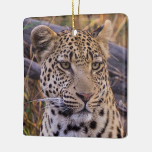 Leopard, Botsuana, Afrika Keramikornament (Links)