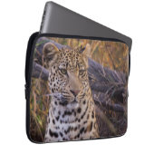 Leopard, Botsuana, Afrika Laptopschutzhülle (Vorne Rechts)
