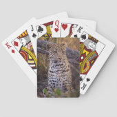 Leopard, Botsuana, Afrika Spielkarten (Rückseite)