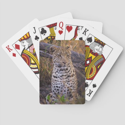 Leopard, Botsuana, Afrika Spielkarten (Rückseite)
