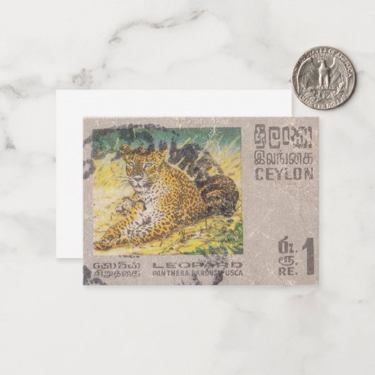 Leopard-Briefmarke Ceylon Mitteilungskarte (Vorderseite/Rückseite Beispiel)