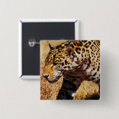 Leopard Button (Vorne & Hinten)