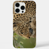 Leopard Case-Mate iPhone hülle (Rückseite)