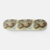 Leopard-Cat, Felis bengalensis Skateboard (Horizontal)