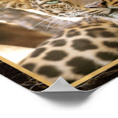 Leopard Cat Foto Image Print Poster (Ecke)