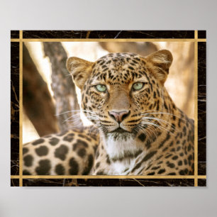 Leopard Cat Foto Image Print Poster