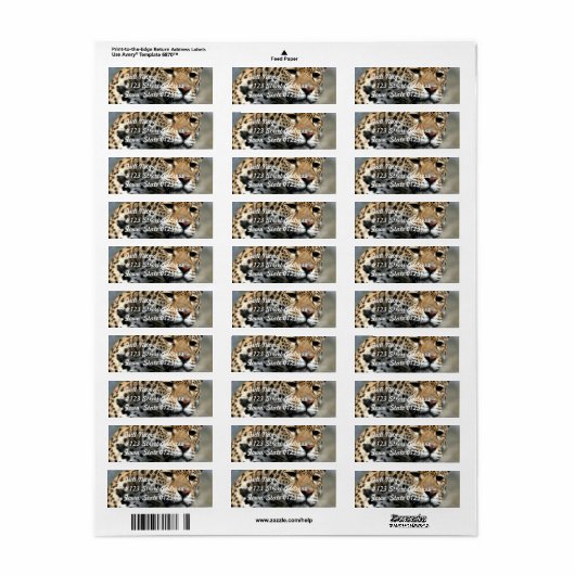 Leopard Cat Mailing Labels (Vorne)