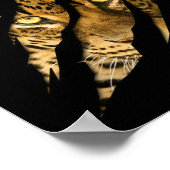 Leopard Cheetah Tiger Leopard Face Lion Cat Appare Poster (Ecke)