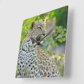 Leopard clock  quadratische wanduhr (Winkel)