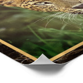 Leopard Closeup Foto Image Print Poster (Ecke)