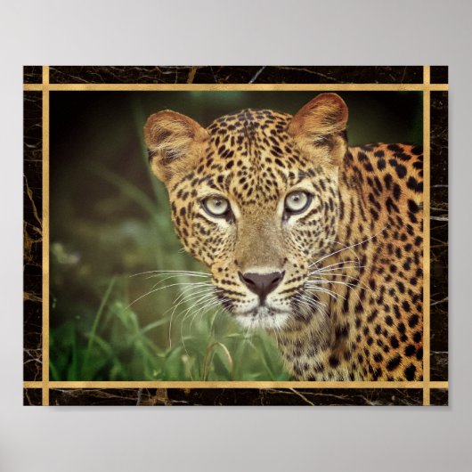 Leopard Closeup Foto Image Print Poster (Vorne)