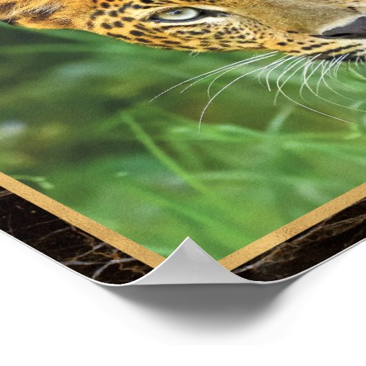 Leopard Closeup Foto Image Print Poster (Ecke)