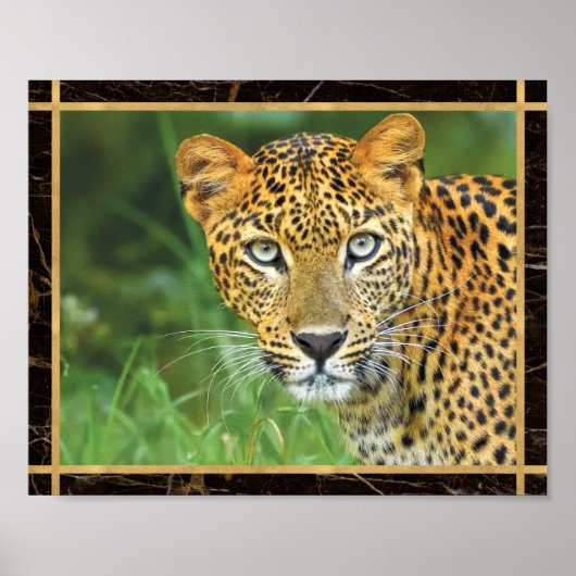Leopard Closeup Foto Image Print Poster (Vorne)