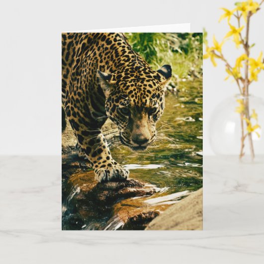 Leopard Crossing a Stream Photograph Karte (Gelbe Blume)