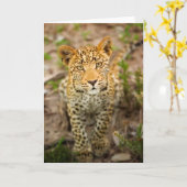 Leopard-CUB-Gruß-Karte Karte (Gelbe Blume)
