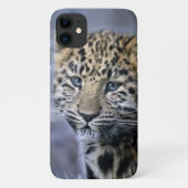 Leopard Cub iPhone 11 Fall Case-Mate iPhone Hülle (Rückseite)