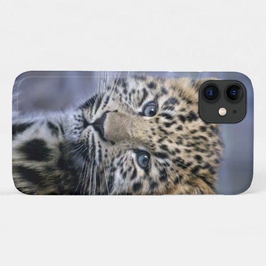 Leopard Cub iPhone 11 Fall Case-Mate iPhone Hülle (Rückseite (Horizontal))