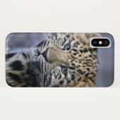 Leopard Cub iPhone X Fall Case-Mate iPhone Hülle (Rückseite (Horizontal))