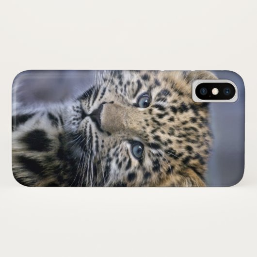 Leopard Cub iPhone X Fall Case-Mate iPhone Hülle (Rückseite (Horizontal))