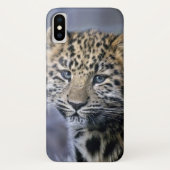 Leopard Cub iPhone X Fall Case-Mate iPhone Hülle (Rückseite)