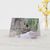 Leopard Cub Karte (Gelbe Blume)