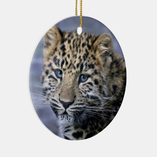 Leopard Cub Ornament (Rechts)
