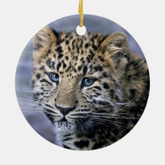 Leopard Cub Ornament (Hinten)