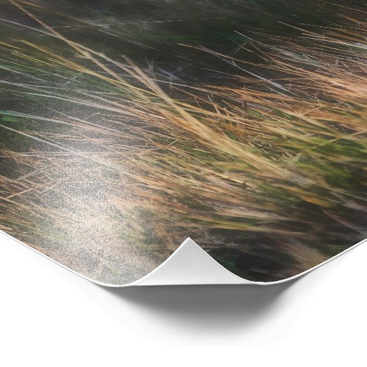 Leopard Cub Panthera Pardus Fotodruck (Ecke)