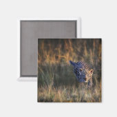 Leopard Cub Panthera Pardus Magnet (Vorderseite/Rückseite)