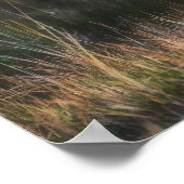 Leopard Cub Panthera Pardus) Poster (Ecke)