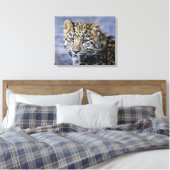 Leopard Cub Wrapped Canvas Print Leinwanddruck (Insitu (Schlafzimmer))