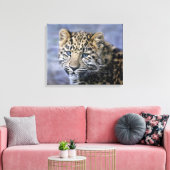 Leopard Cub Wrapped Canvas Print Leinwanddruck (Insitu (Wohnzimmer))