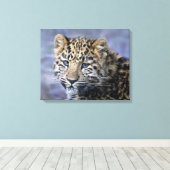 Leopard Cub Wrapped Canvas Print Leinwanddruck (Insitu (Holzboden))