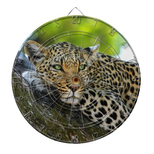 Leopard Dartboard Dartscheibe (vorne)