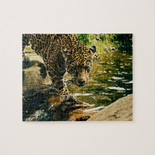 Leopard, der einen Strom kreuzt Puzzle