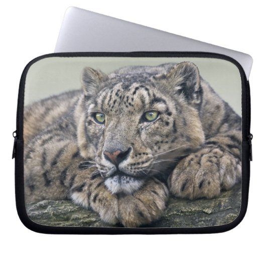 Leopard Dreaming Laptop Sleeve (Vorderseite)