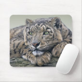 Leopard Dreaming Mousemat Mousepad (Mit Mouse)