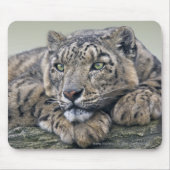 Leopard Dreaming Mousemat Mousepad (Vorne)
