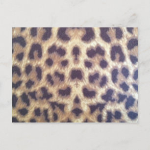 Leopard-Druck #36884 Postkarte