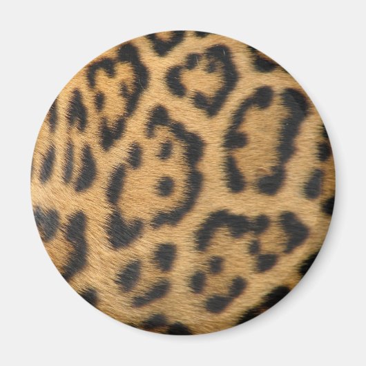 Leopard-Druck Magnet (Vorne)