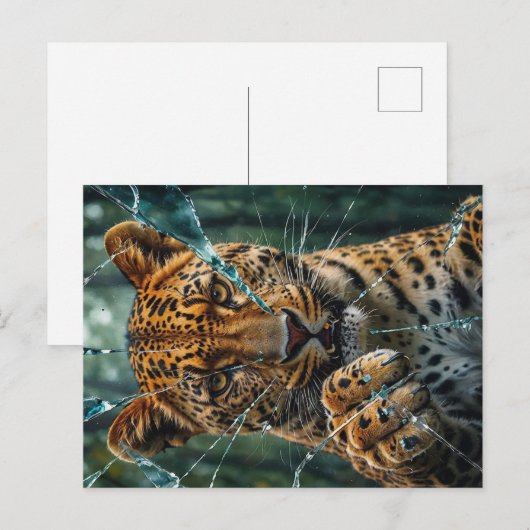 Leopard durchbrechen postkarte (Vorne/Hinten)