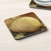 Leopard Earthball Fungus Hard Plastic Coasters Getränkeuntersetzer (Linke Seite)