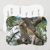 Leopard Einladung (Vorne/Hinten)