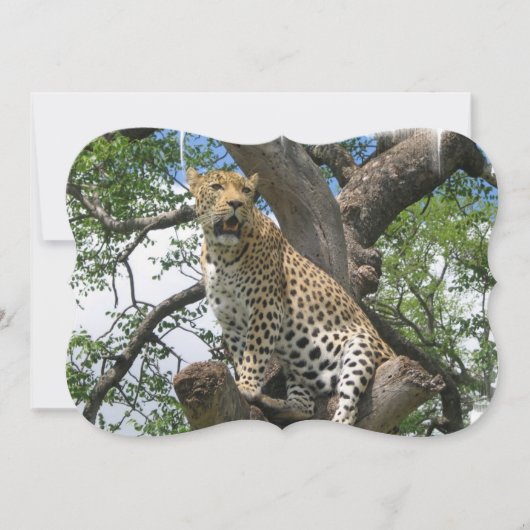 Leopard Einladung (Vorderseite)