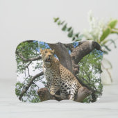 Leopard Einladung (Stehend Vorderseite)