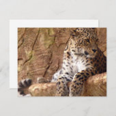 Leopard-Einladung Einladung (Vorne/Hinten)