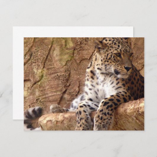 Leopard-Einladung Einladung (Vorne/Hinten)